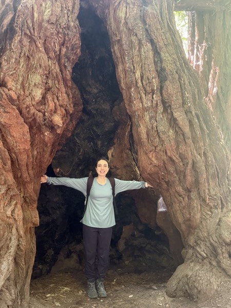 Lina hiking among redwoods